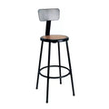 Hampden Furnishings 30" Felix Collection Steel Stool with Backrest Black